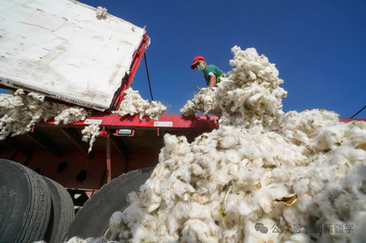 多重优势让新疆棉纺织产业链“热辣滚烫”
